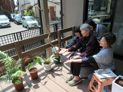 観葉植物植え替えと白玉ぜんざい作りました。